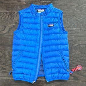 Patagonia Blue Puffer Vest